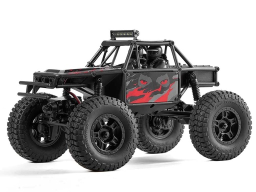 FMS 1/24 FCX24 Lemur RTR